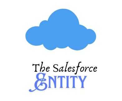 The Salesforce Entity